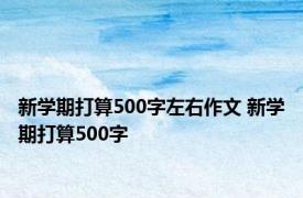 新学期打算500字左右作文 新学期打算500字 