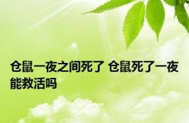 仓鼠一夜之间死了 仓鼠死了一夜能救活吗 