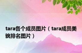 tara各个成员图片（tara成员美貌排名图片）