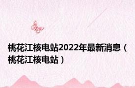 桃花江核电站2022年最新消息（桃花江核电站）