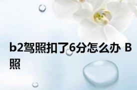 b2驾照扣了6分怎么办 B照 