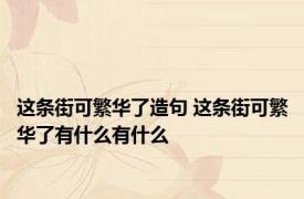 这条街可繁华了造句 这条街可繁华了有什么有什么 