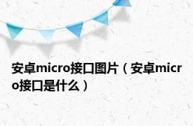 安卓micro接口图片（安卓micro接口是什么）