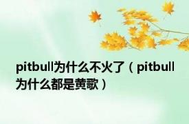 pitbull为什么不火了（pitbull为什么都是黄歌）