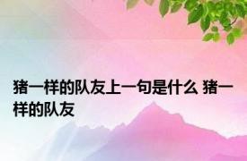 猪一样的队友上一句是什么 猪一样的队友 