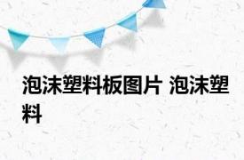 泡沫塑料板图片 泡沫塑料 