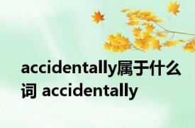 accidentally属于什么词 accidentally 