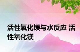 活性氧化镁与水反应 活性氧化镁 