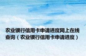 农业银行信用卡申请进度网上在线查询（农业银行信用卡申请进度）