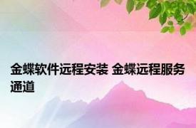 金蝶软件远程安装 金蝶远程服务通道 