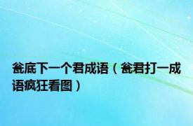 瓮底下一个君成语（瓮君打一成语疯狂看图）