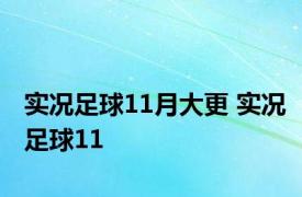 实况足球11月大更 实况足球11 