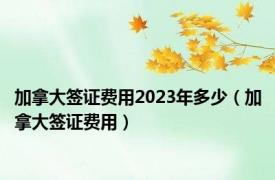 加拿大签证费用2023年多少（加拿大签证费用）