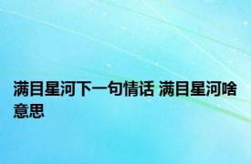 满目星河下一句情话 满目星河啥意思 