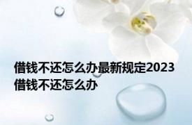 借钱不还怎么办最新规定2023 借钱不还怎么办 