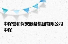 中保誉和保安服务集团有限公司 中保 