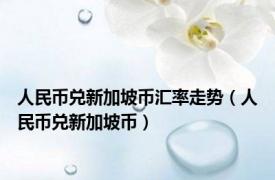 人民币兑新加坡币汇率走势（人民币兑新加坡币）