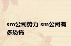 sm公司势力 sm公司有多恐怖 