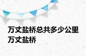 万丈盐桥总共多少公里 万丈盐桥 