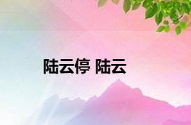 陆云停 陆云 