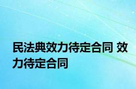 民法典效力待定合同 效力待定合同 