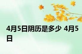 4月5日阴历是多少 4月5日 