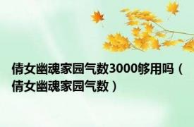 倩女幽魂家园气数3000够用吗（倩女幽魂家园气数）