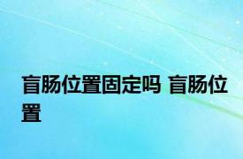 盲肠位置固定吗 盲肠位置 