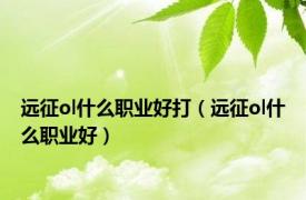 远征ol什么职业好打（远征ol什么职业好）