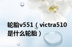 轮胎v551（victra510是什么轮胎）