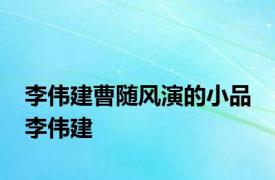 李伟建曹随风演的小品 李伟建 