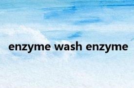 enzyme wash enzyme 