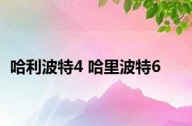 哈利波特4 哈里波特6 