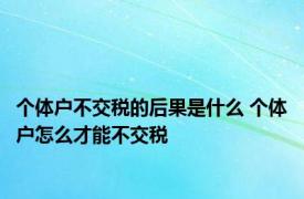 个体户不交税的后果是什么 个体户怎么才能不交税 