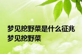 梦见挖野菜是什么征兆 梦见挖野菜 