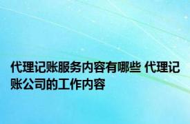 代理记账服务内容有哪些 代理记账公司的工作内容 