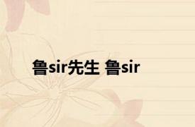 鲁sir先生 鲁sir 