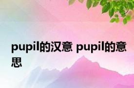 pupil的汉意 pupil的意思 