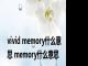 vivid memory什么意思 memory什么意思 