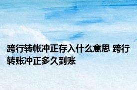 跨行转帐冲正存入什么意思 跨行转账冲正多久到账 