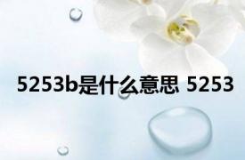 5253b是什么意思 5253 