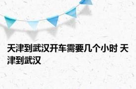 天津到武汉开车需要几个小时 天津到武汉 