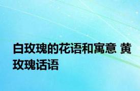 白玫瑰的花语和寓意 黄玫瑰话语 