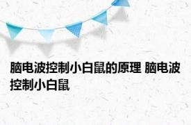 脑电波控制小白鼠的原理 脑电波控制小白鼠 