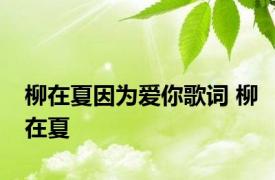 柳在夏因为爱你歌词 柳在夏 