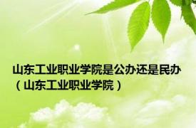 山东工业职业学院是公办还是民办（山东工业职业学院）