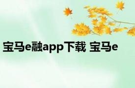 宝马e融app下载 宝马e 