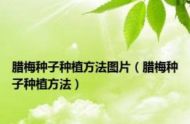 腊梅种子种植方法图片（腊梅种子种植方法）