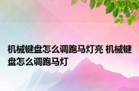 机械键盘怎么调跑马灯亮 机械键盘怎么调跑马灯 