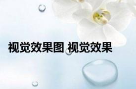 视觉效果图 视觉效果 